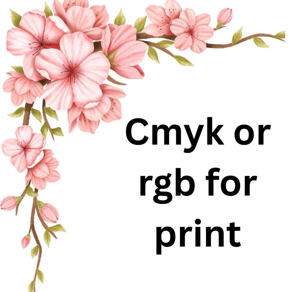 CMYK or RGB for Print