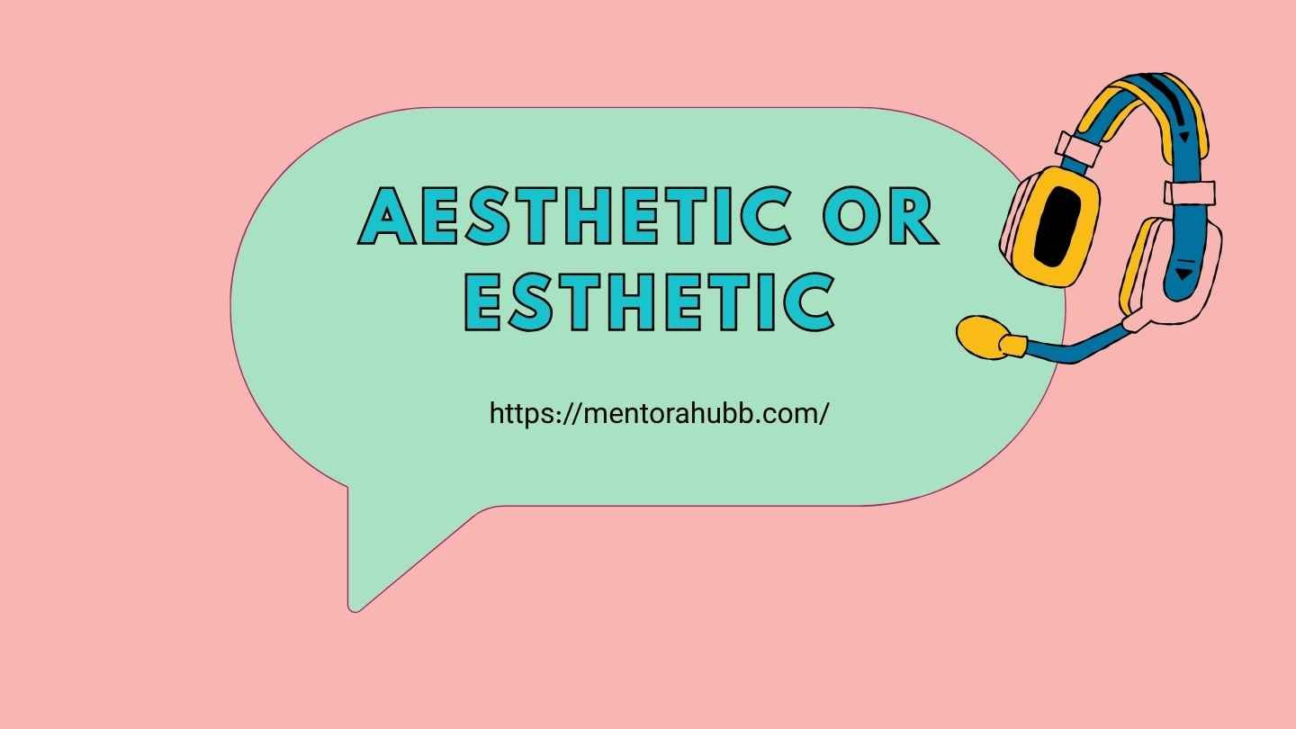 aesthetic or esthetic