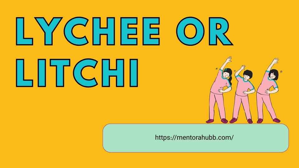 lychee or litchi
